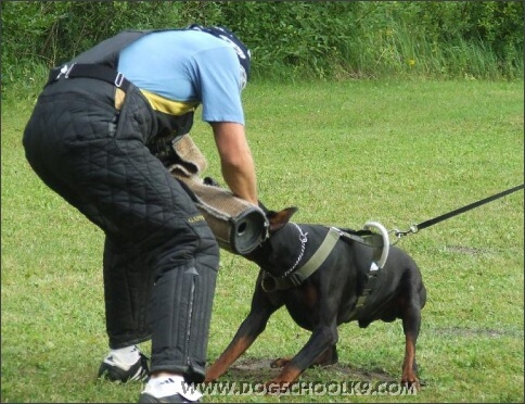 Summer training camp in Estonia 2007